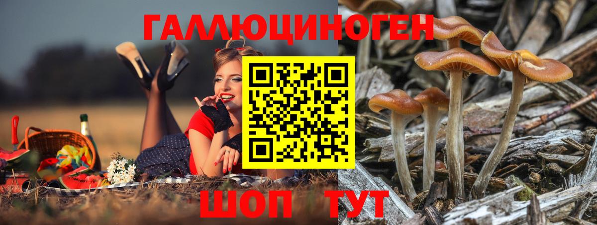 Псилоцибиновые грибы мицелий  Галлюциногенные грибы MAGIC MUSHROOMS  Вход с VPN  Псков 