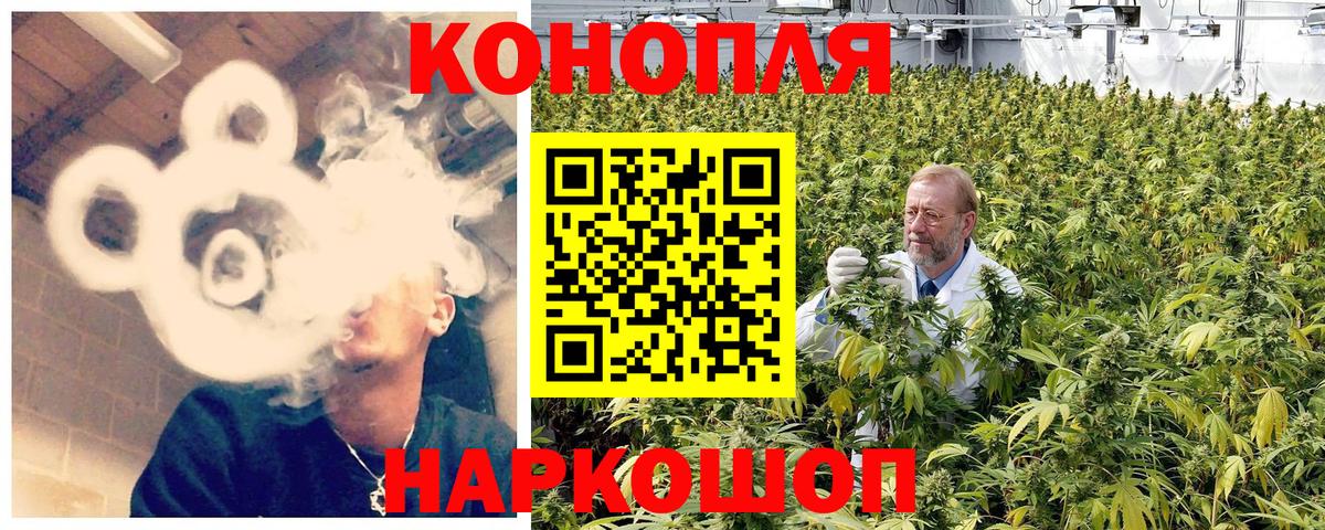 Бошки Шишки индика  Бошки Шишки планчик  Вход с VPN  Бошки Шишки SATIVA & INDICA  Псков 